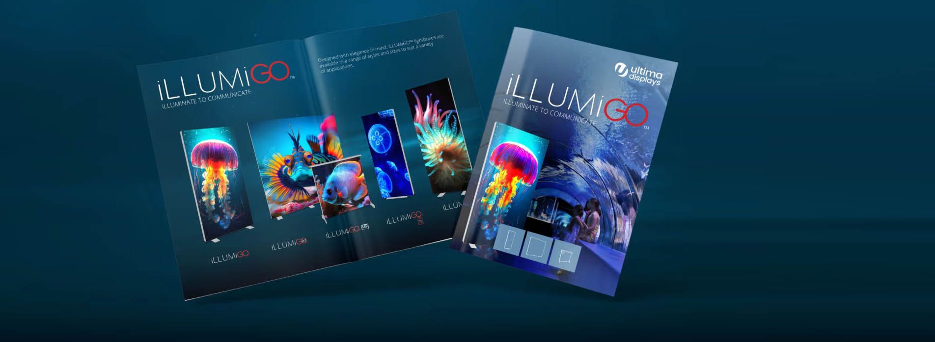 Brochure Design